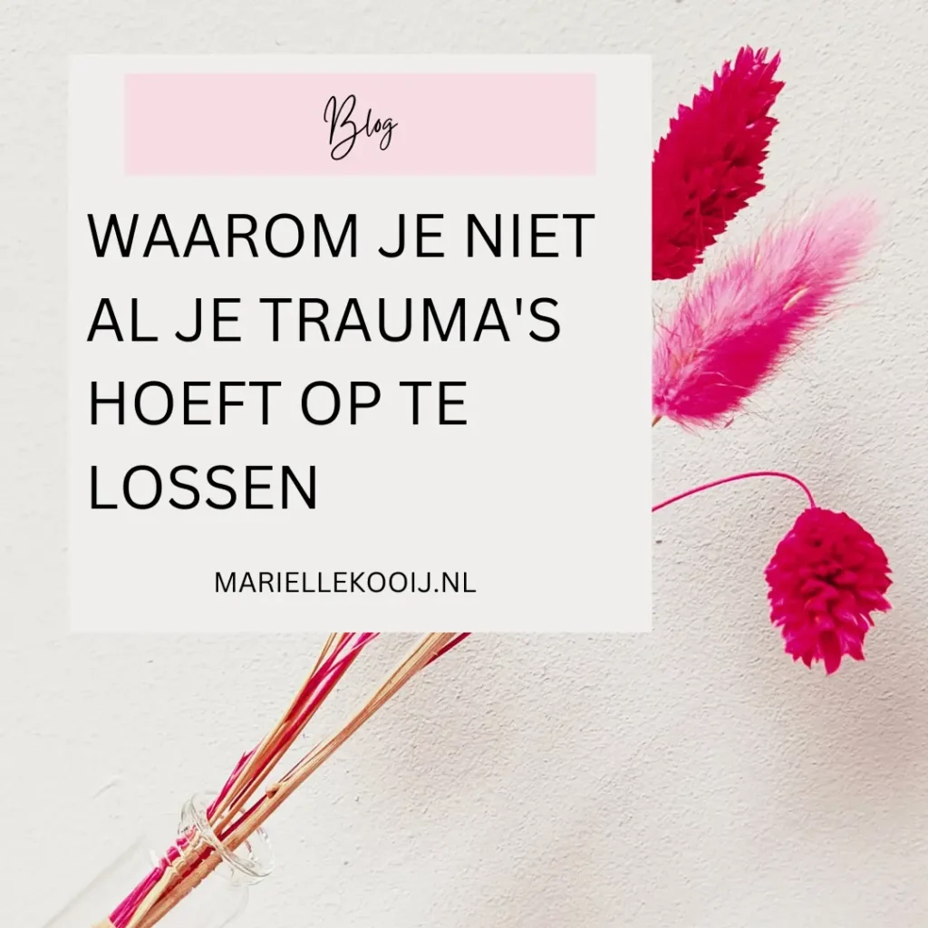 Trauma's oplossen met NEI methode behandeling blog
